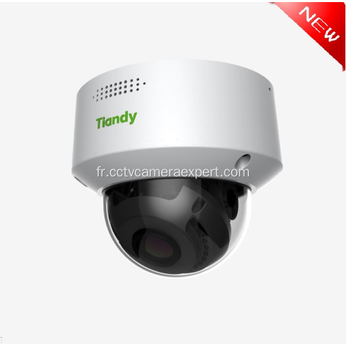 Caméra IP Hikvision Audio Tiandy IP Dome 2mp